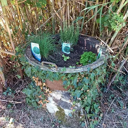 Petit De Charme Bichta Eder * Magnac-Lavalette-Villars